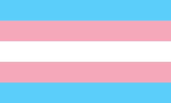 TRANS RIGHTS ARE HUMAN RIGHTS!